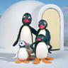 Pingu Family Igloo avatar